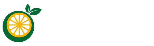 法甲投注